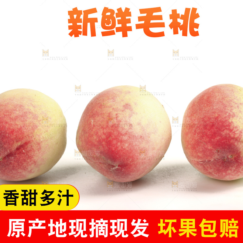 毛桃