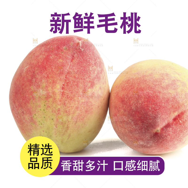 毛桃