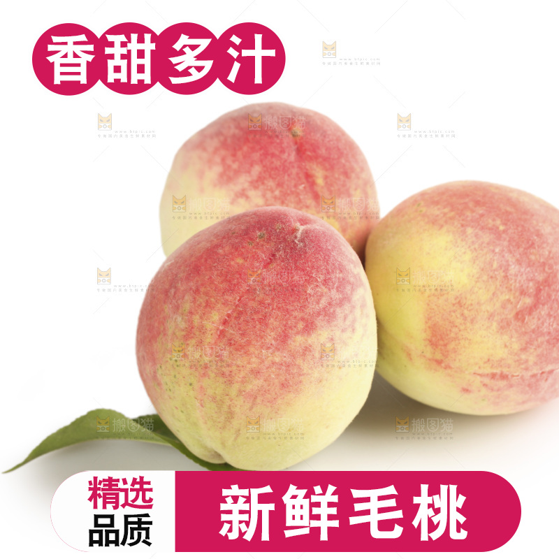 毛桃