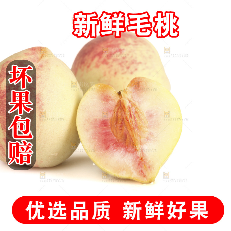 毛桃