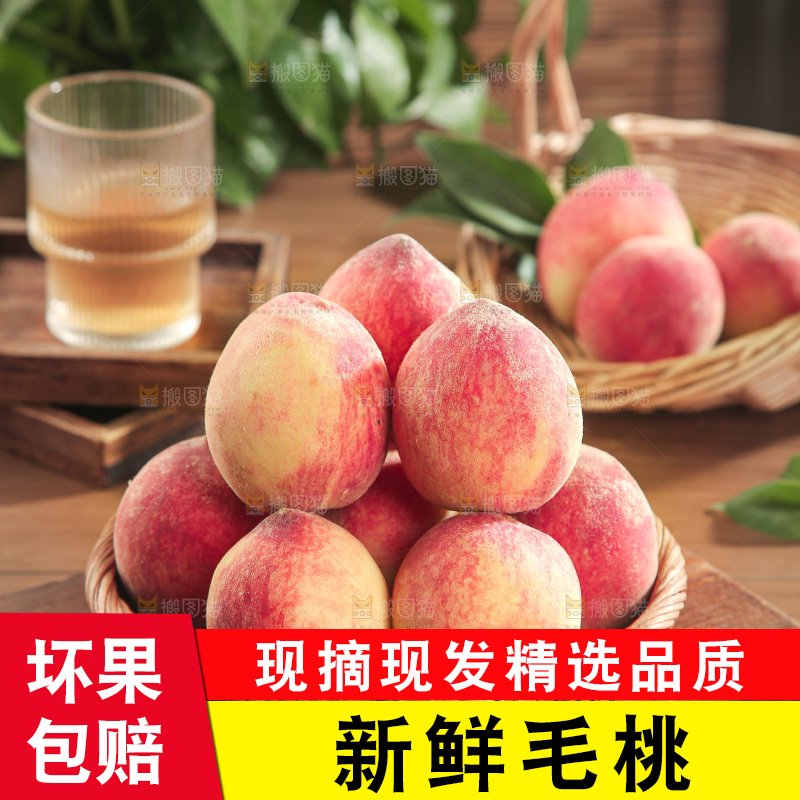 毛桃
