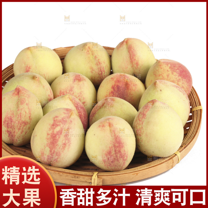 毛桃
