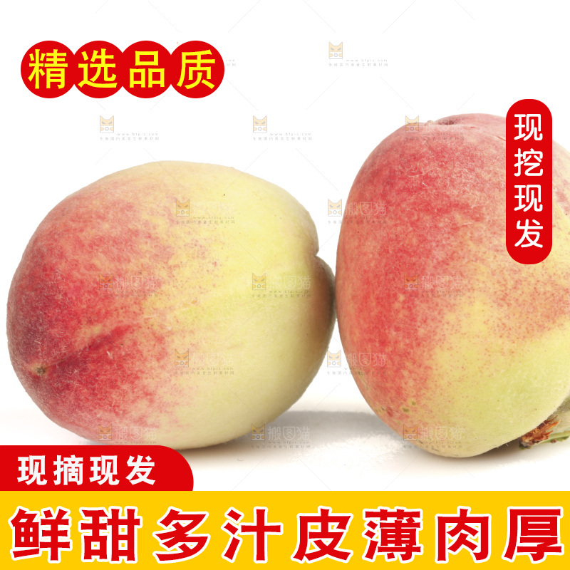毛桃