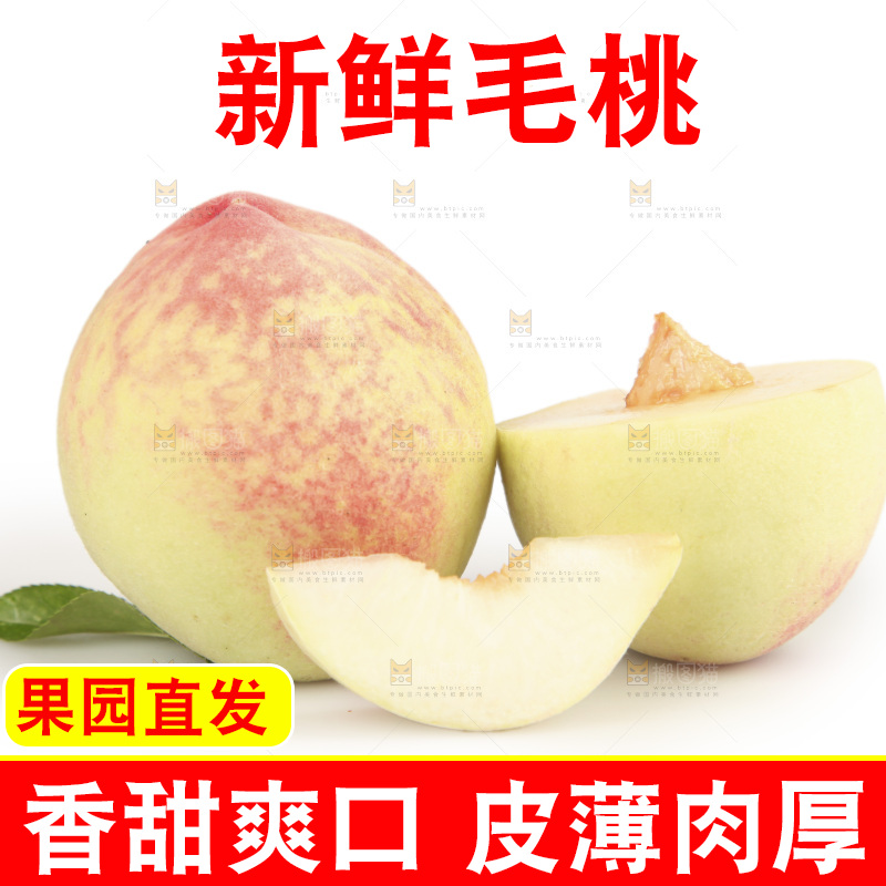 毛桃