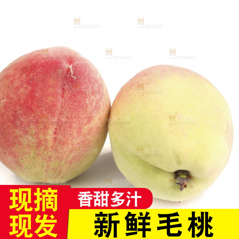 毛桃