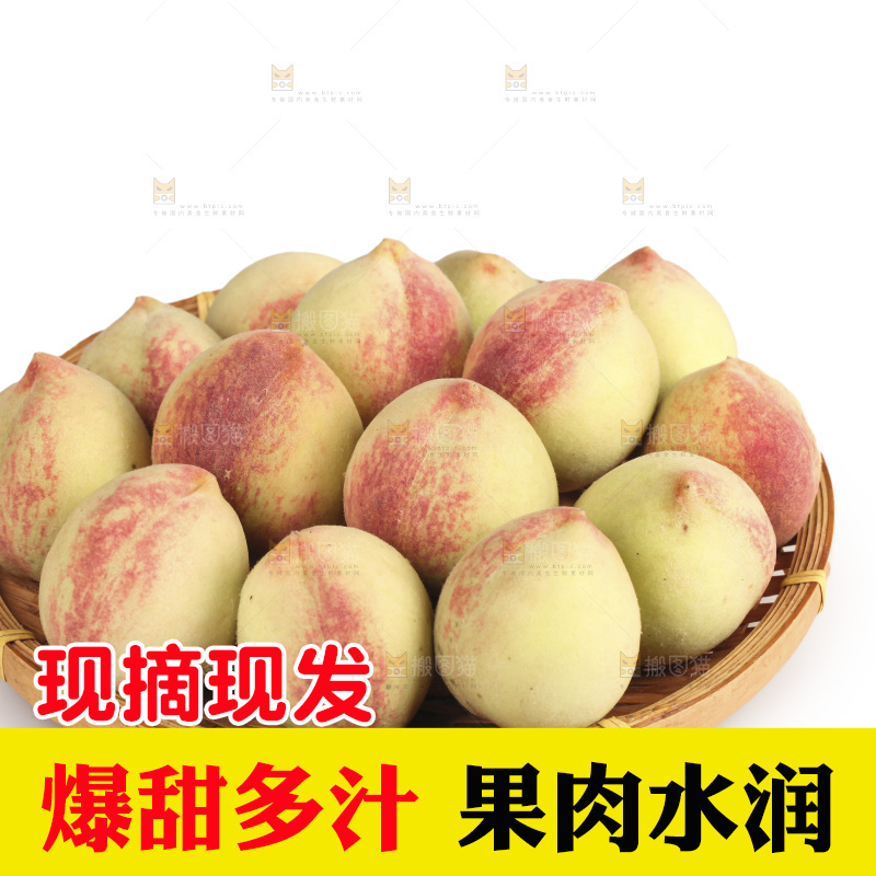 毛桃