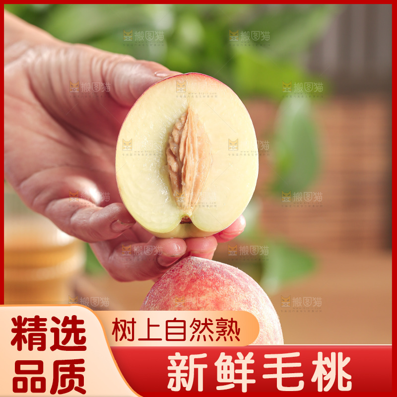 毛桃