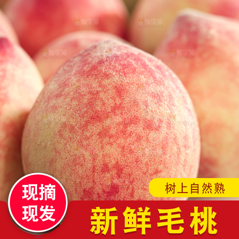 毛桃