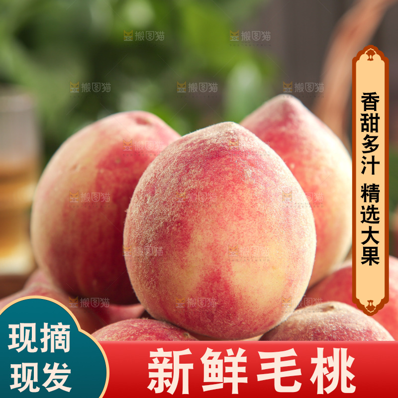 毛桃