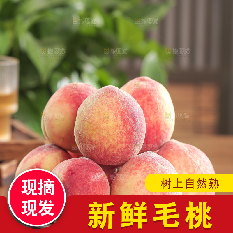 毛桃