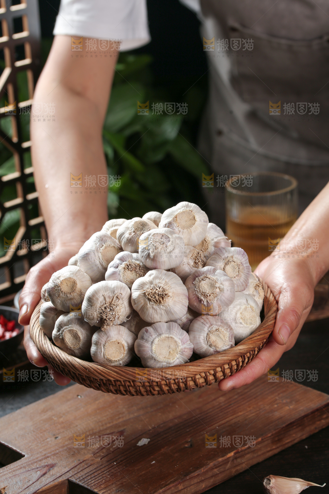 大蒜种