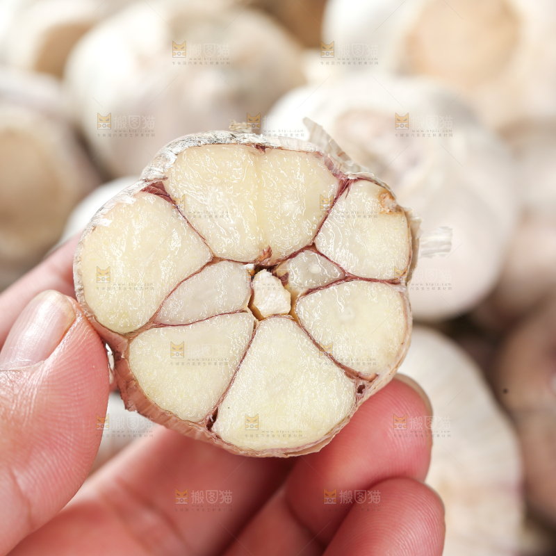大蒜种