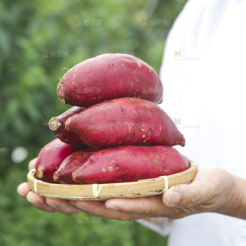 榴莲蜜薯
