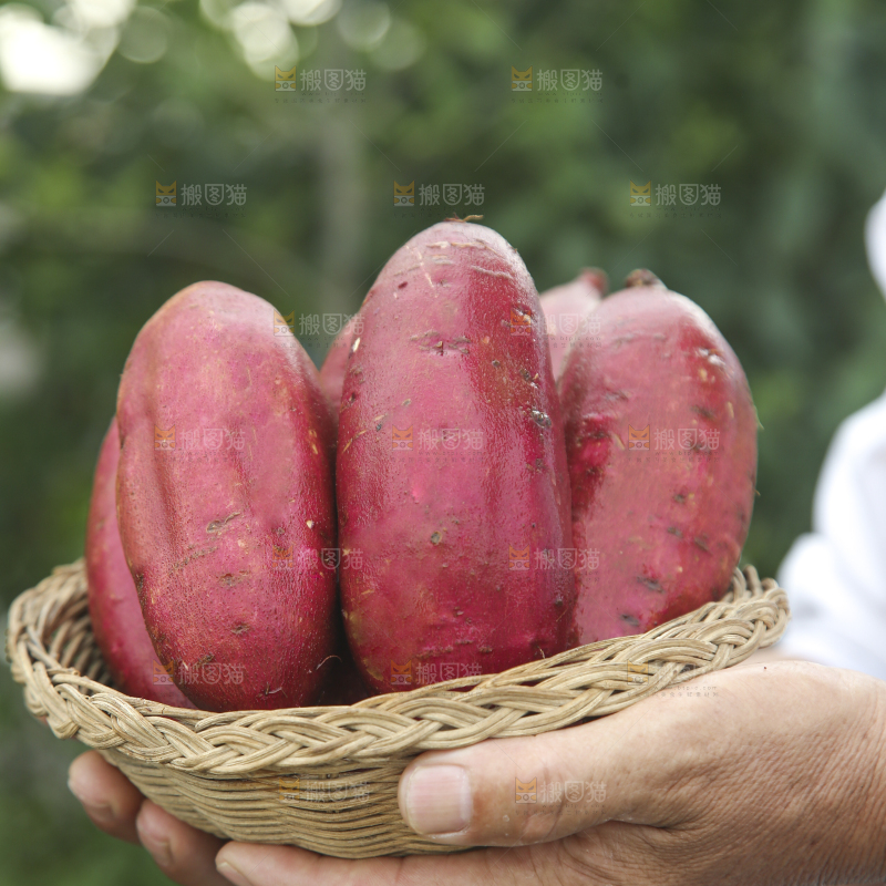 榴莲蜜薯
