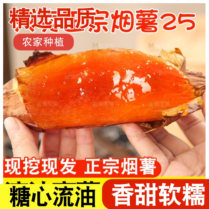 烟薯主图
