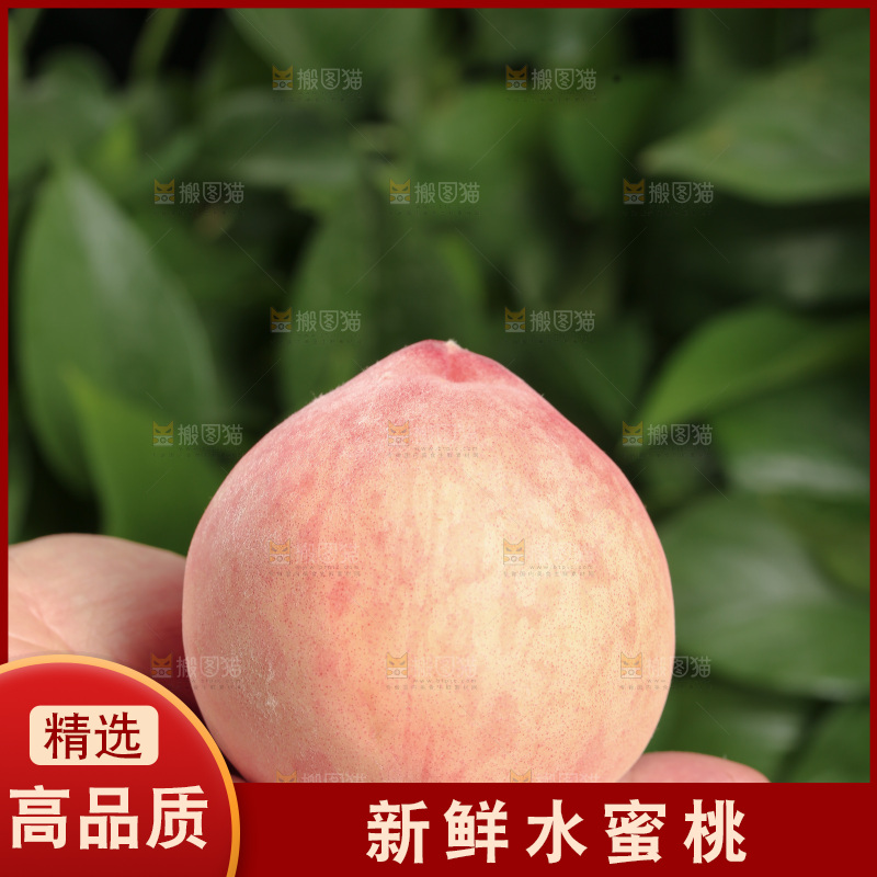 水蜜桃