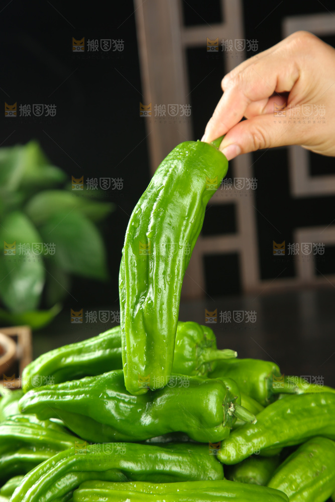 青椒