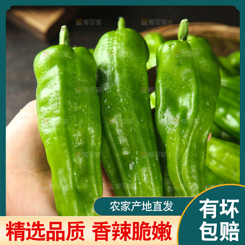 青椒