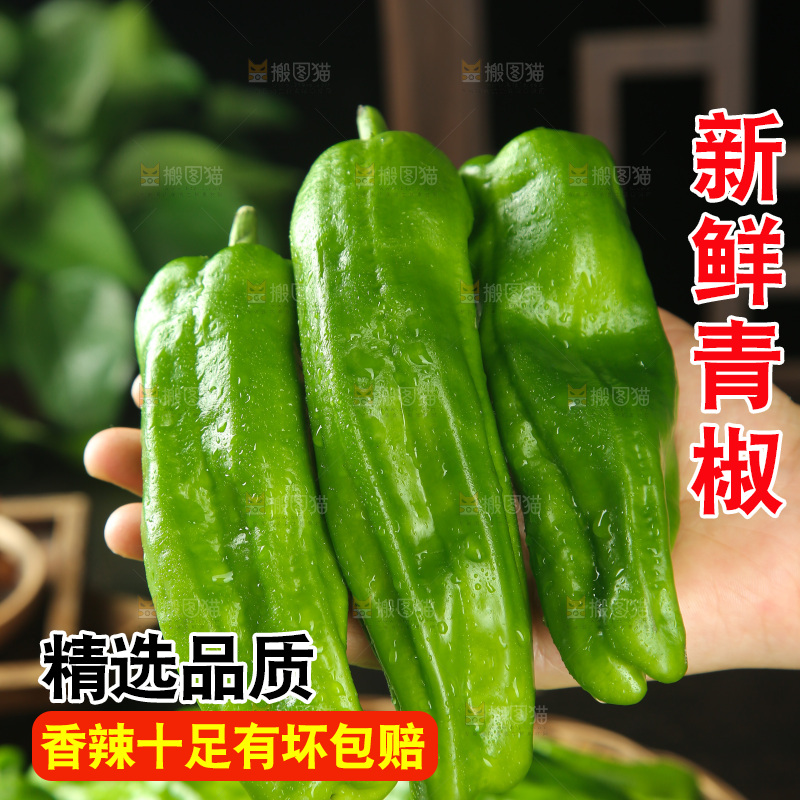 青椒