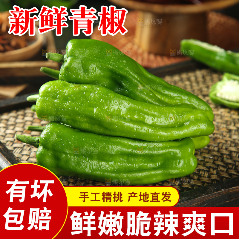 青椒