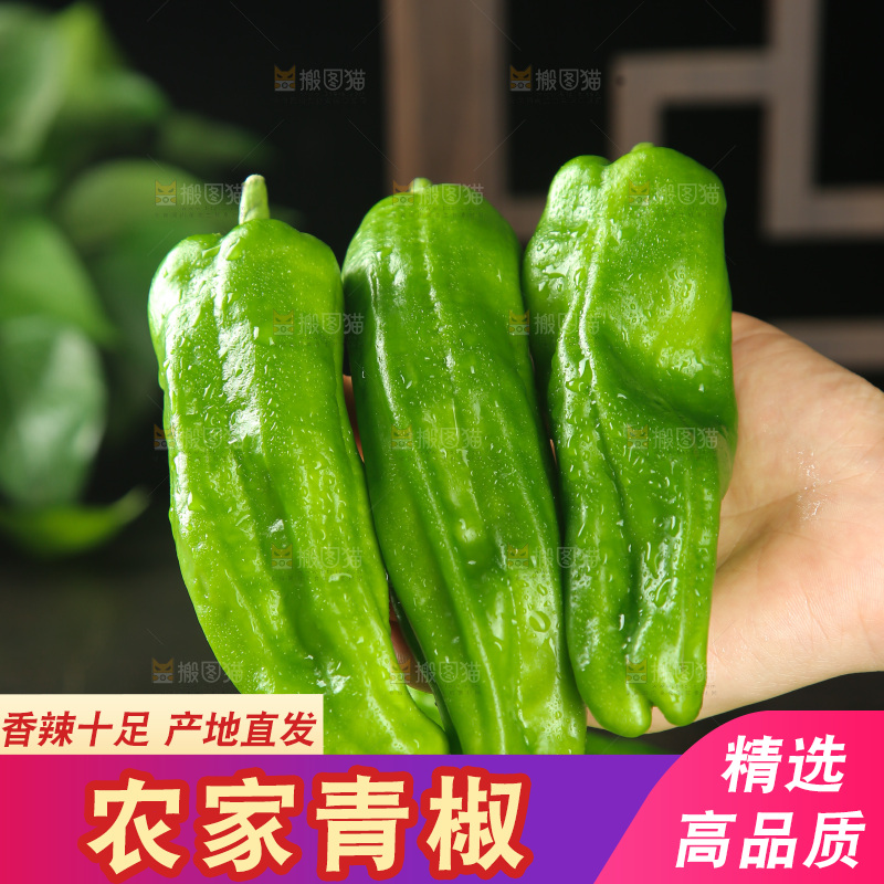 青椒