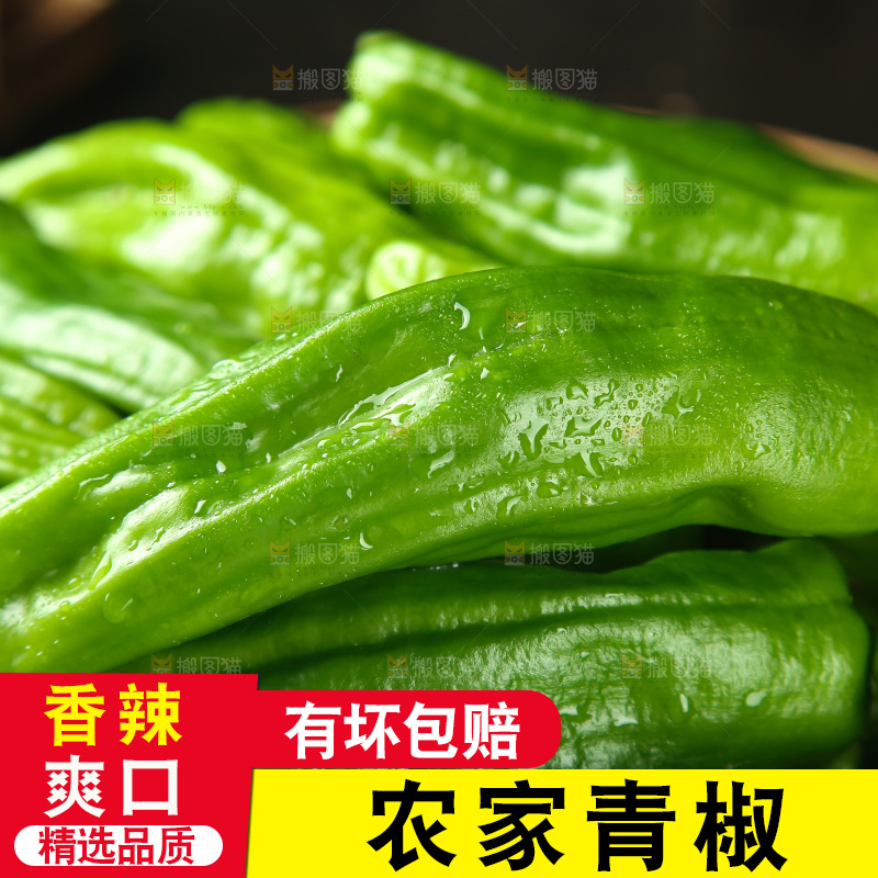 青椒