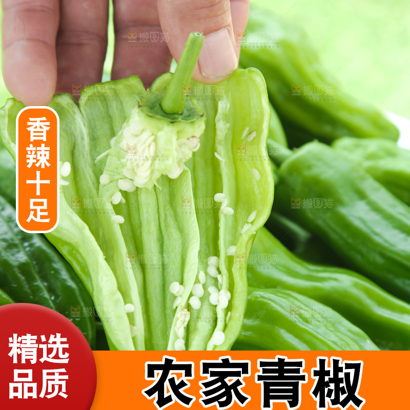 青椒