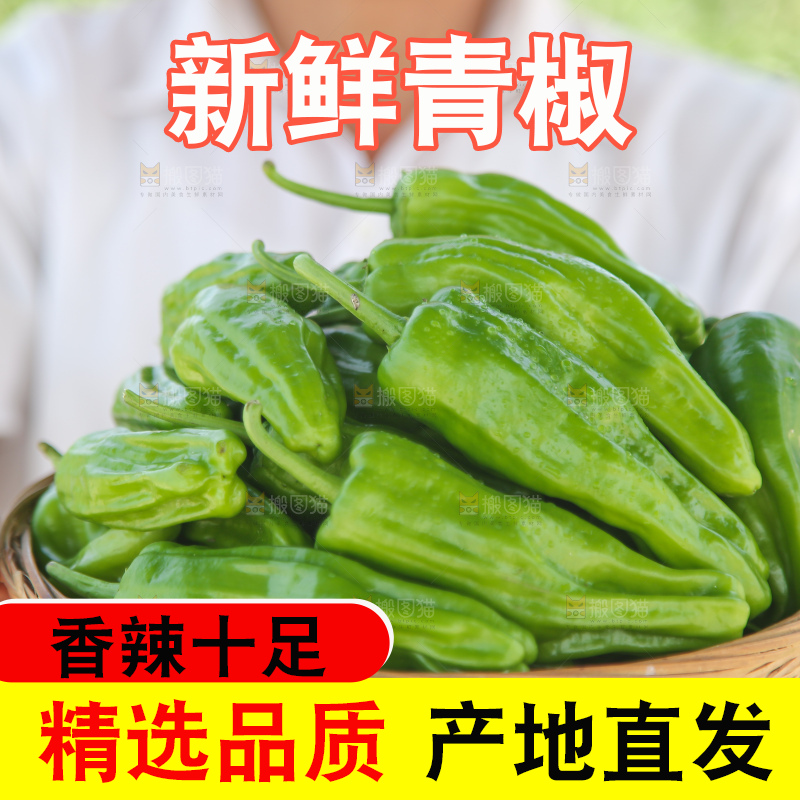 青椒