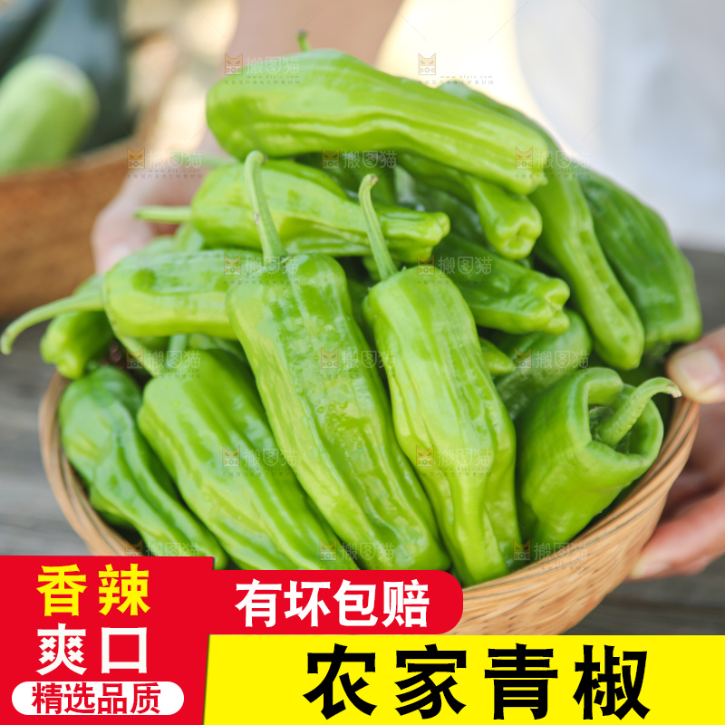 青椒