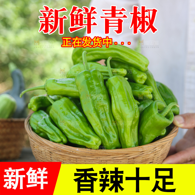 青椒