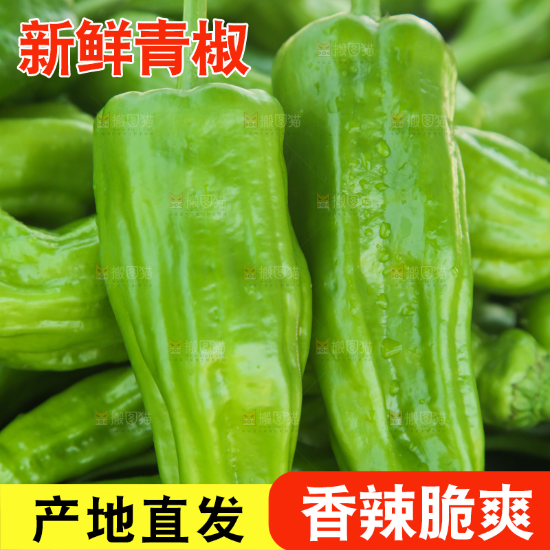 青椒