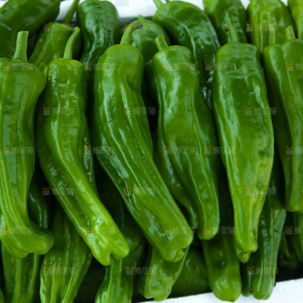 青椒