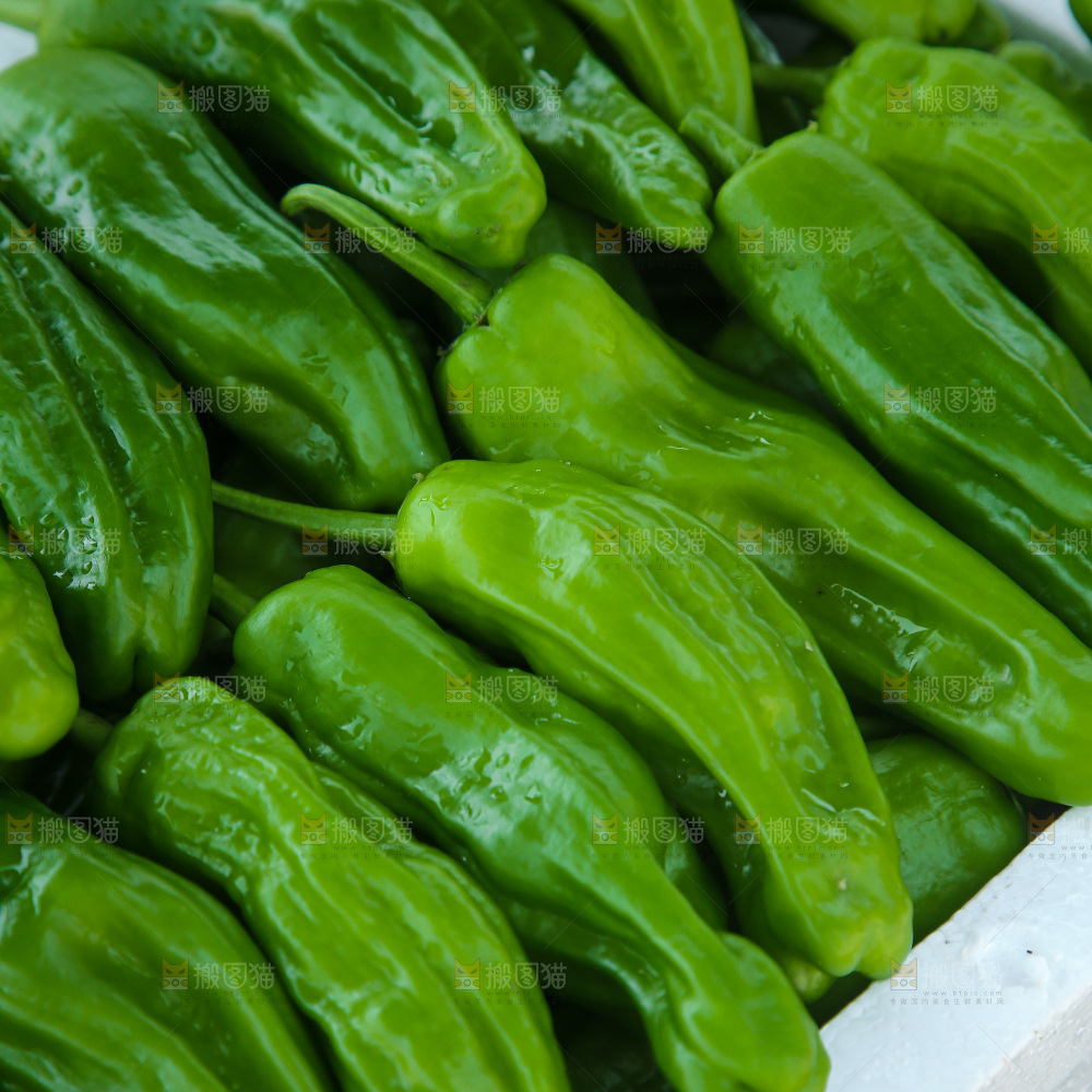 青椒