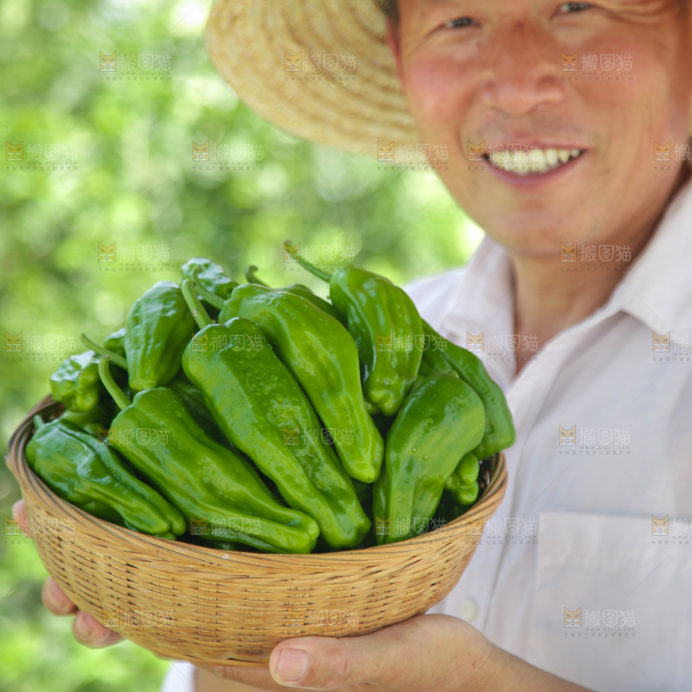 青椒