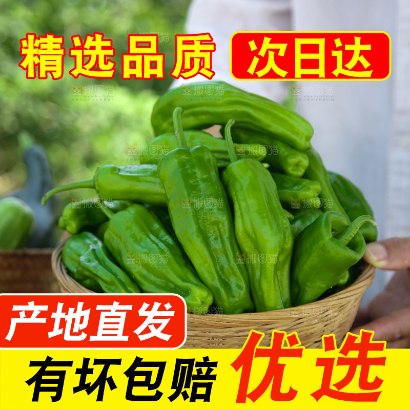 青椒