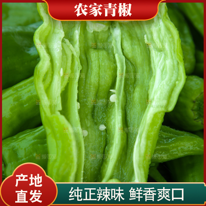 青椒