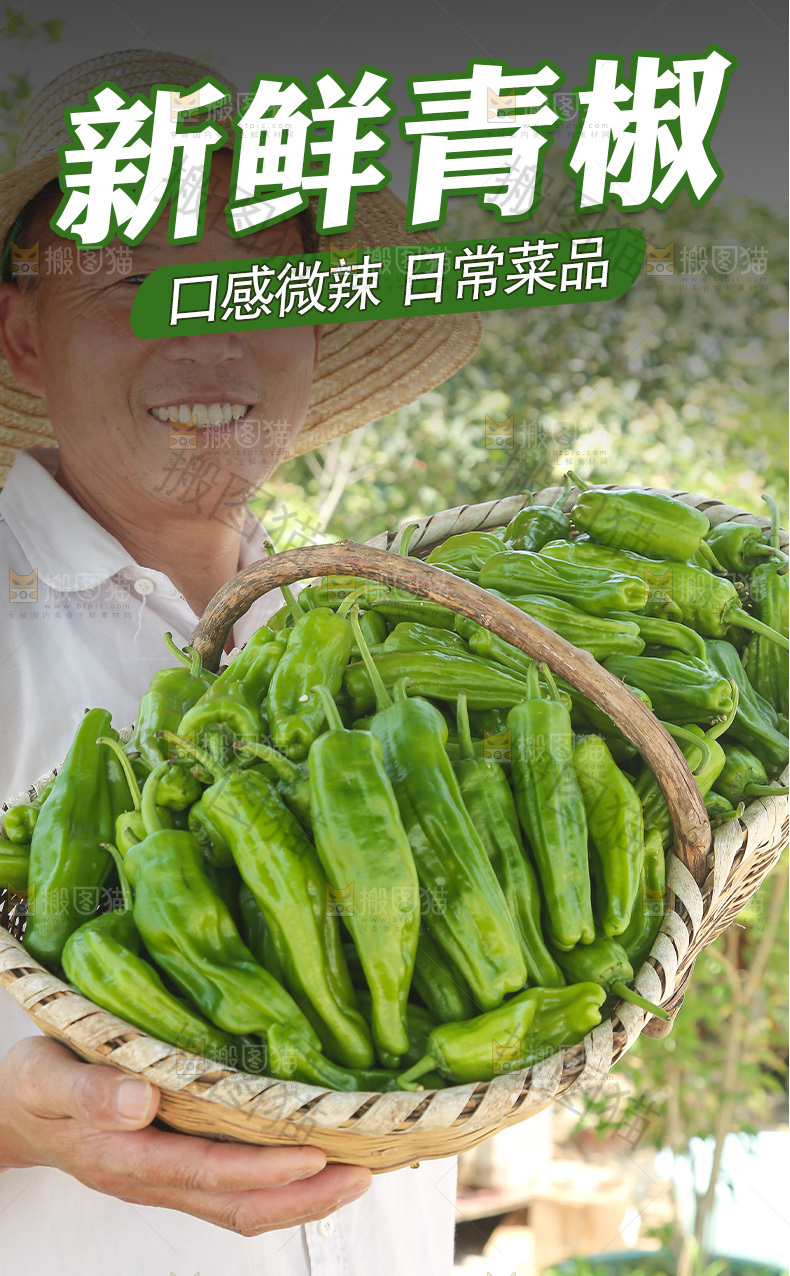 青辣椒详情页