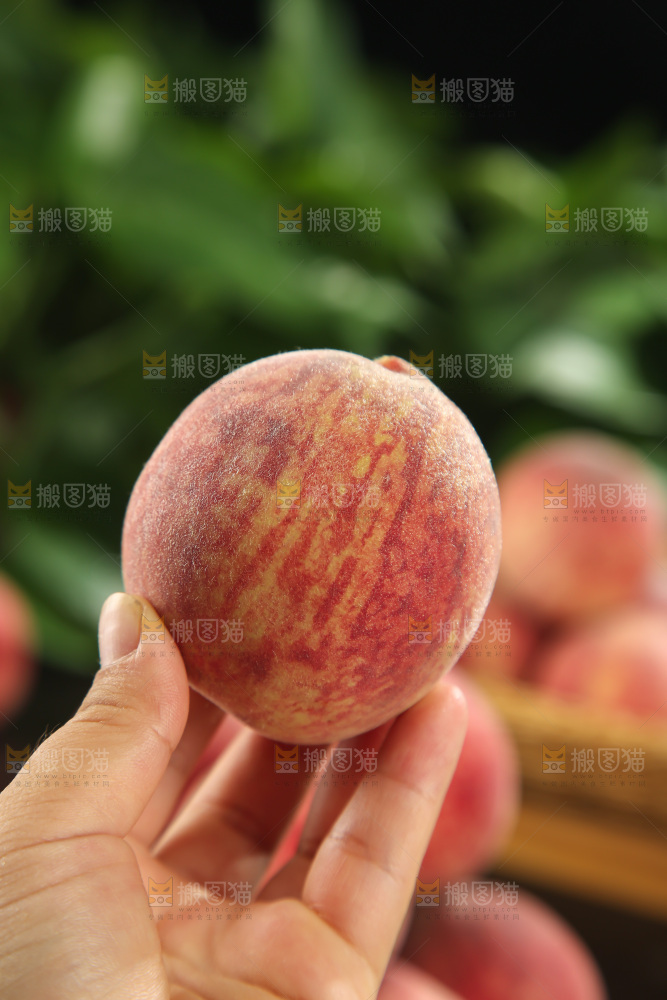 胭脂红桃子