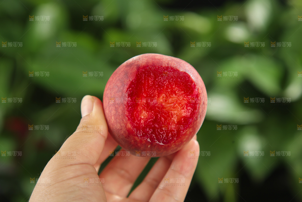 胭脂红桃子