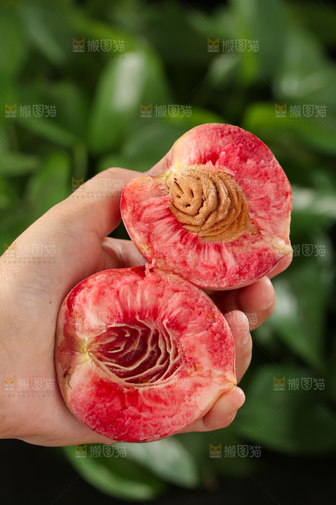 胭脂红桃子
