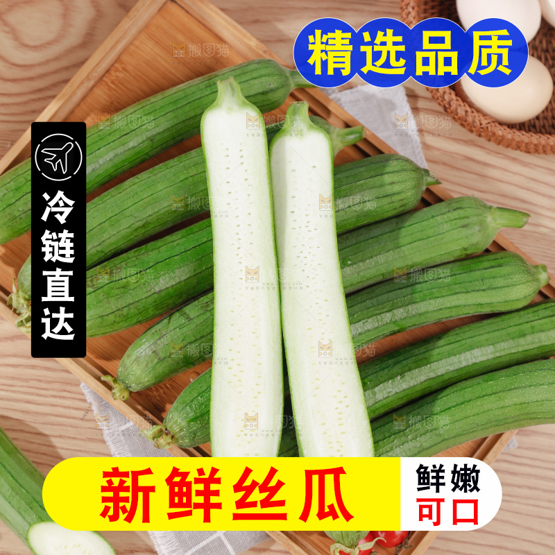 丝瓜