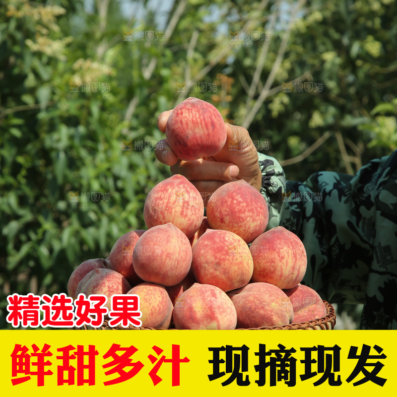 胭脂红桃子