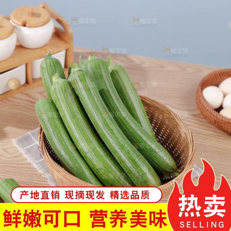 丝瓜