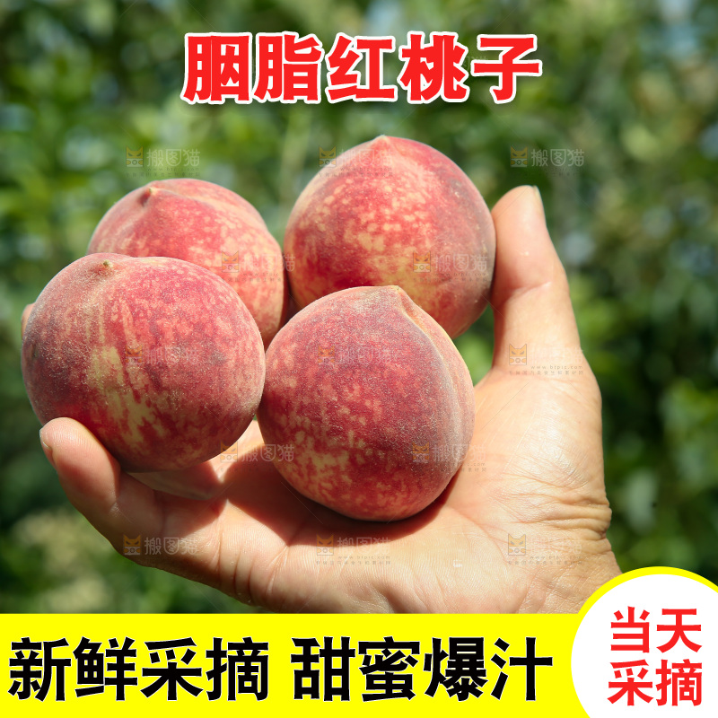 胭脂红桃子