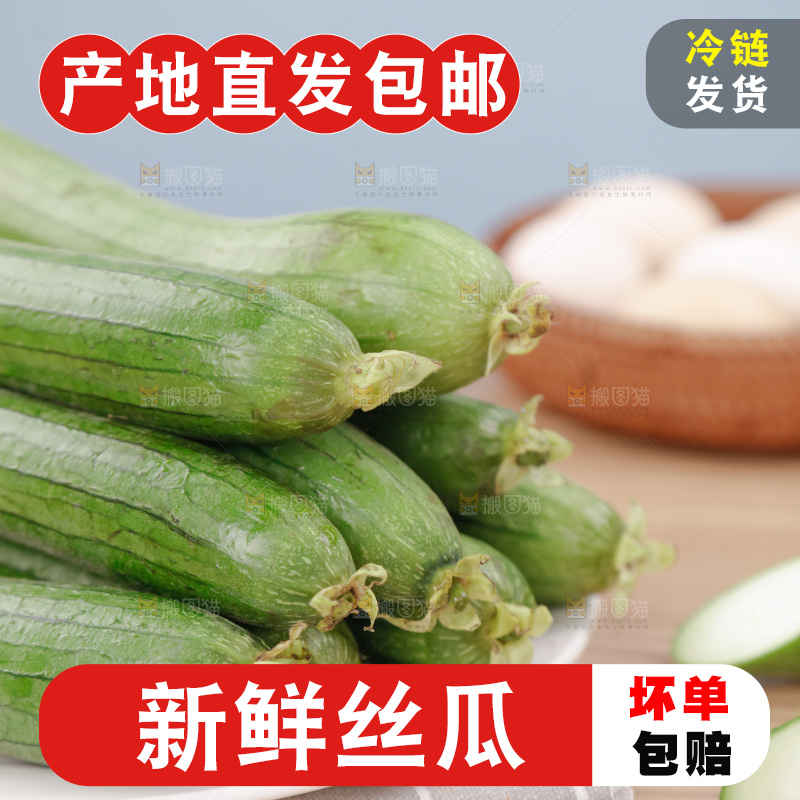 丝瓜
