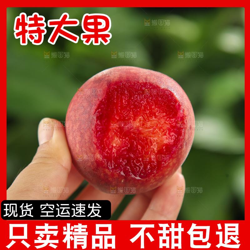 胭脂红桃子