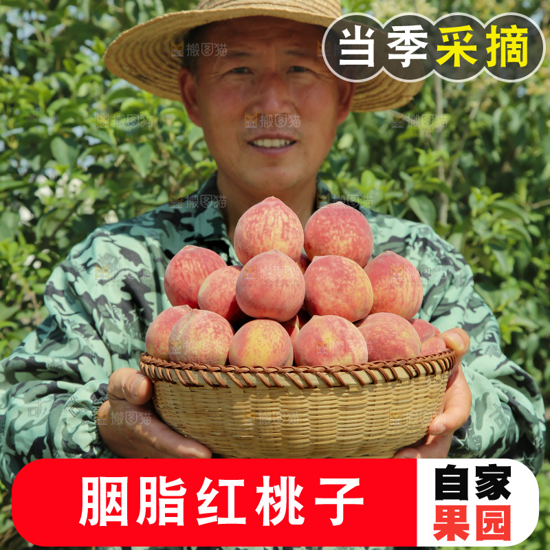 胭脂红桃子