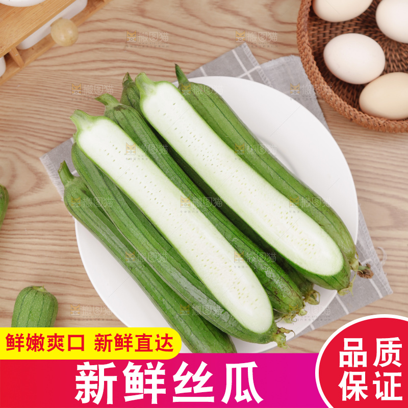 丝瓜