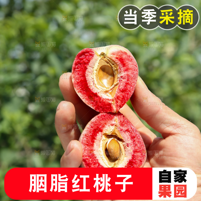 胭脂红桃子