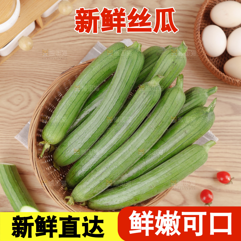 丝瓜